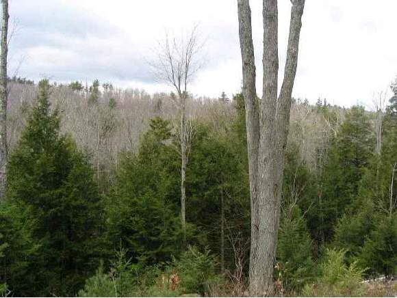 Lot4 Stoney Brook Road Newbury, NH 03255 - Photo 1 of 8