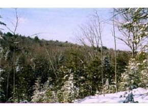 Lot4 Stoney Brook Road Newbury, NH 03255 - Photo 2 of 8