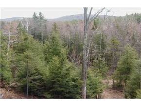 Lot4 Stoney Brook Road Newbury, NH 03255 - Photo 4 of 8