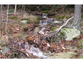 Lot4 Stoney Brook Road Newbury, NH 03255 - Photo 6 of 8