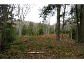 Lot4 Stoney Brook Road Newbury, NH 03255 - Photo 7 of 8