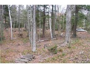 Lot4 Stoney Brook Road Newbury, NH 03255 - Photo 8 of 8
