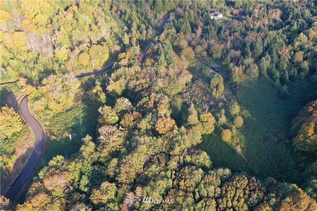 1 Maple Ridge Road Cathlamet, WA 98612 - Photo 3 of 4 Gallery Image 3