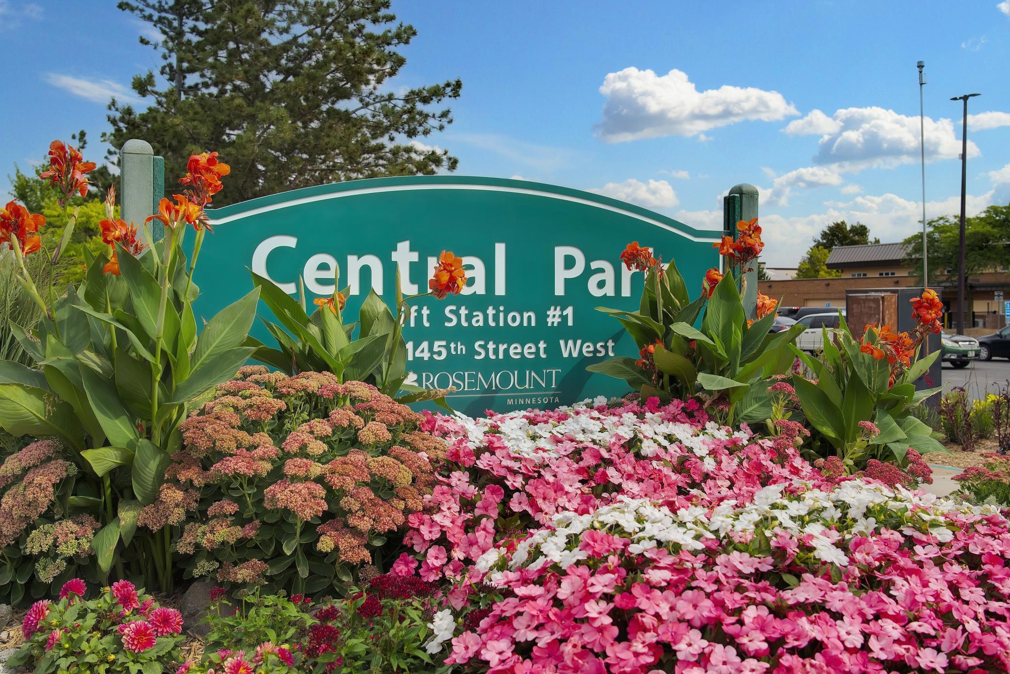 1069 Annagaire Curve Rosemount, MN 55068 - Photo 26 of 41