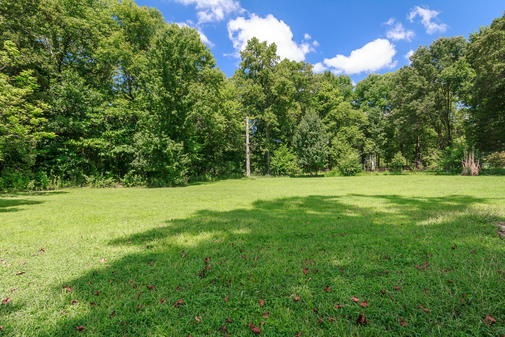 6315 Ooltewah Georgetown Road Ooltewah, TN 37363 - Photo 31 of 36 extback_2