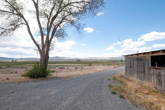 570 West Main Street Beaver, UT 84713 - Photo 39 of 43 Gravel driveway extending through a natural landscape featuring a mature tree