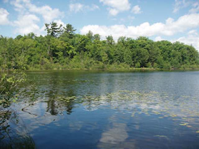 3964 Peninsula Road Park Falls, WI 54552 - Photo 20 of 20 Gallery Image 20