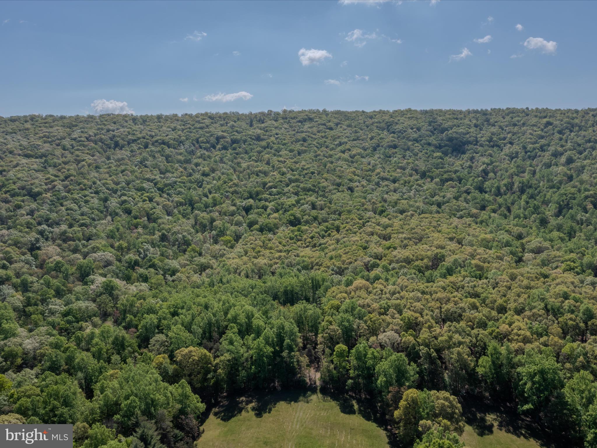 Mauzy Road Berkeley Springs, WV 25411 - Photo 15 of 43 Gallery Image 15