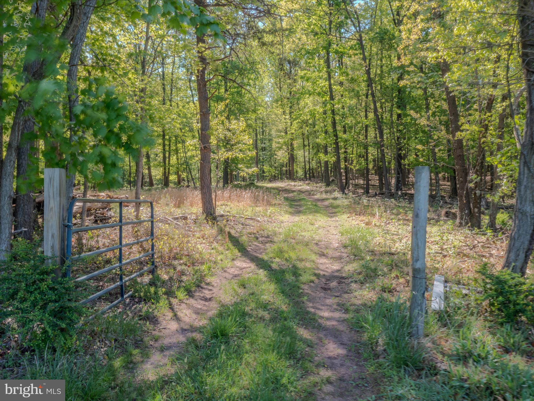 Mauzy Road Berkeley Springs, WV 25411 - Photo 2 of 43 Gallery Image 2