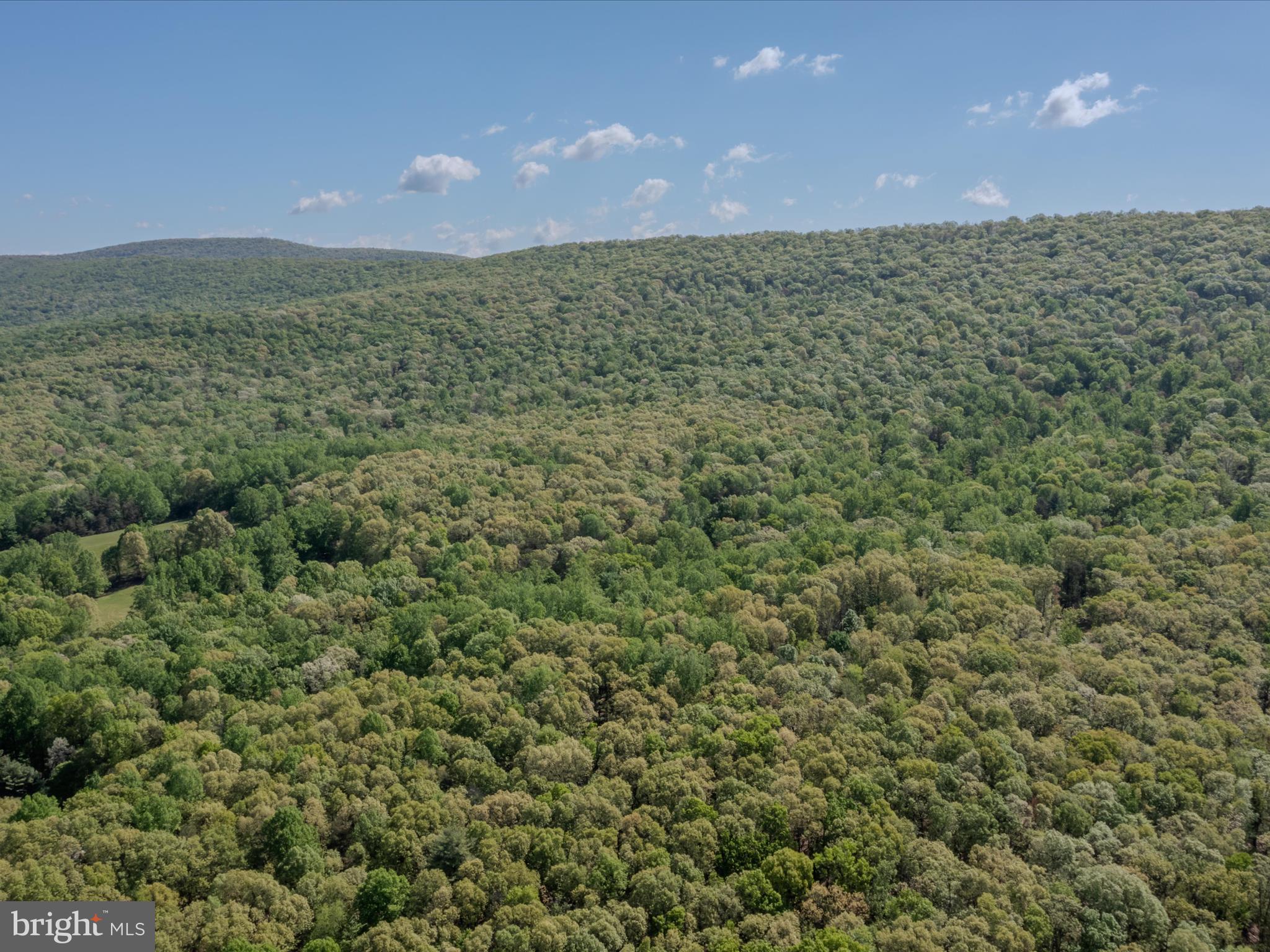 Mauzy Road Berkeley Springs, WV 25411 - Photo 23 of 43 Gallery Image 23