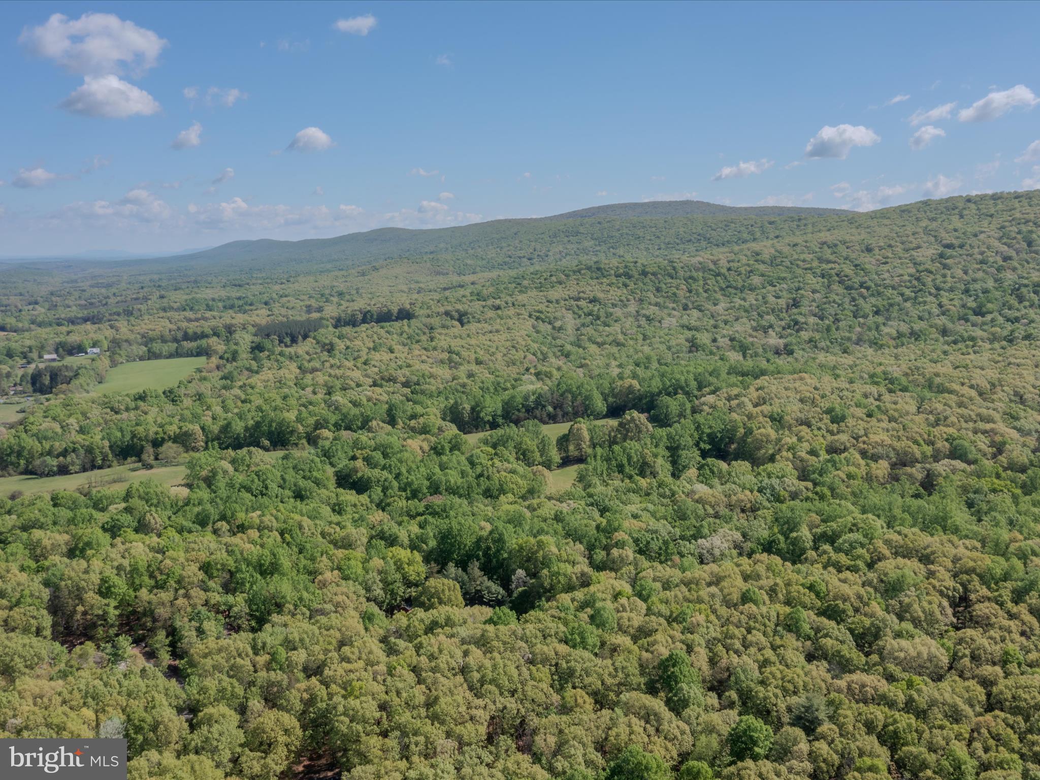 Mauzy Road Berkeley Springs, WV 25411 - Photo 24 of 43 Gallery Image 24