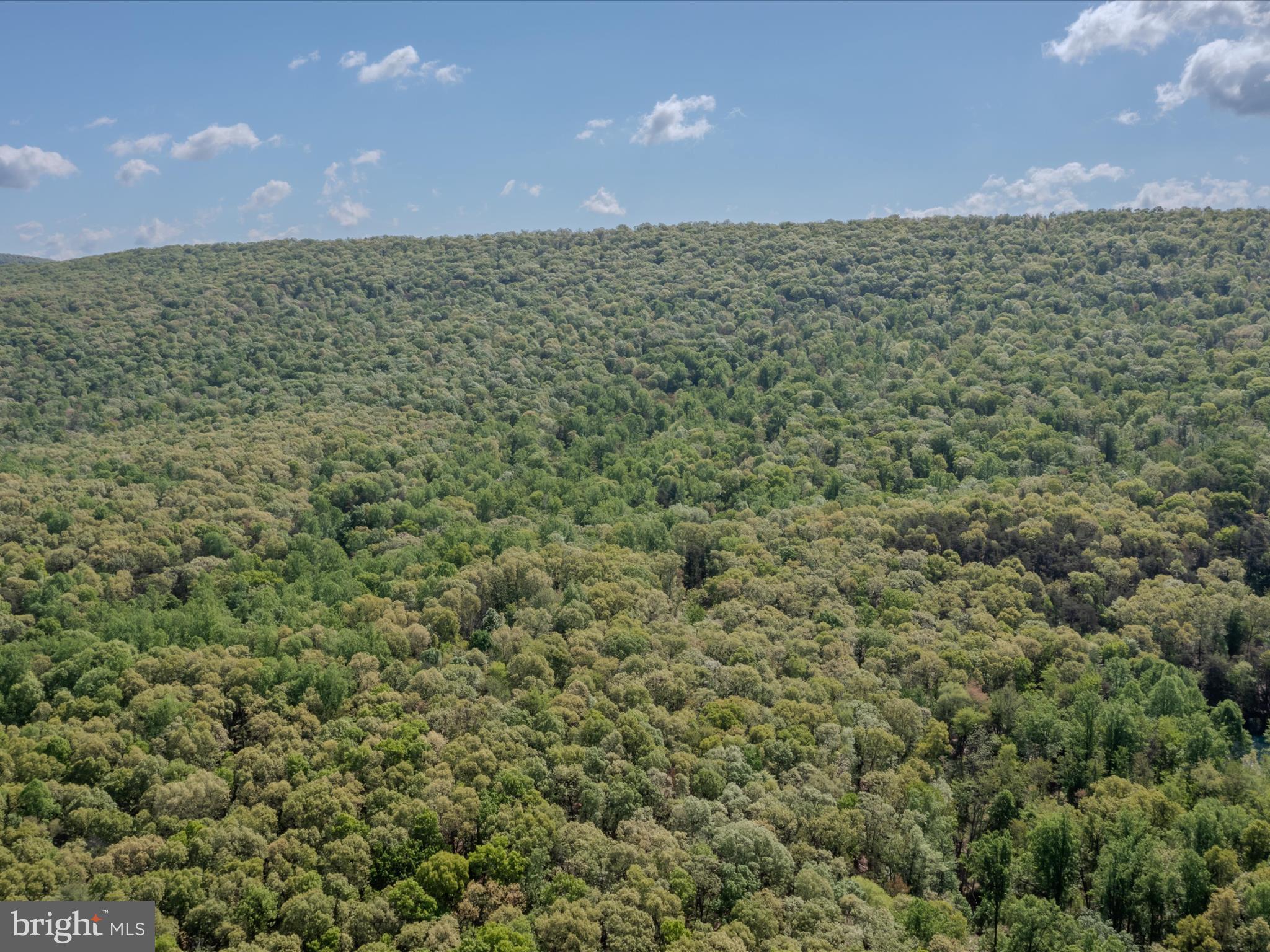 Mauzy Road Berkeley Springs, WV 25411 - Photo 25 of 43 Gallery Image 25