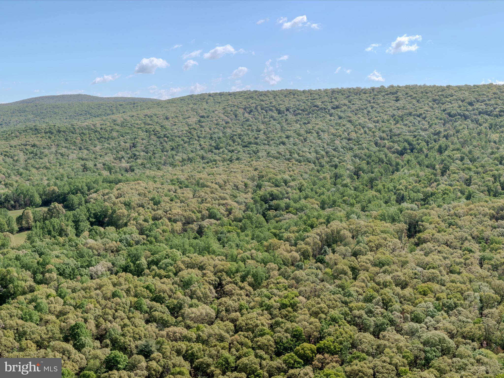 Mauzy Road Berkeley Springs, WV 25411 - Photo 27 of 43 Gallery Image 27