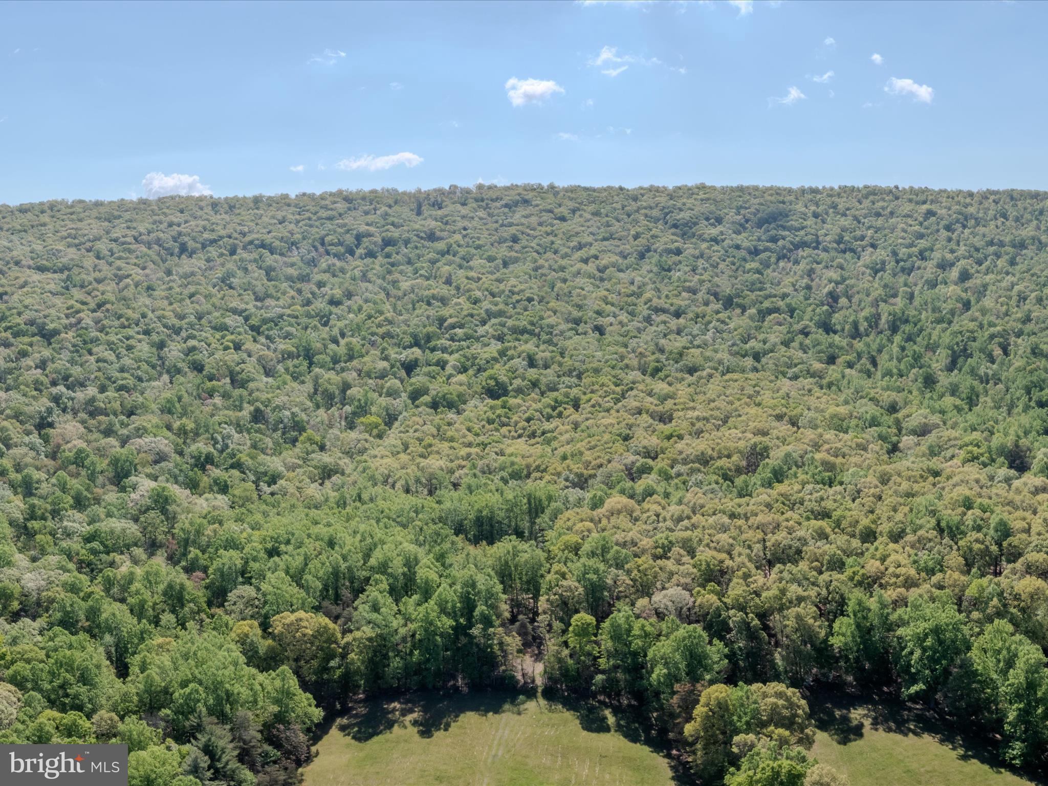 Mauzy Road Berkeley Springs, WV 25411 - Photo 3 of 43 Gallery Image 3