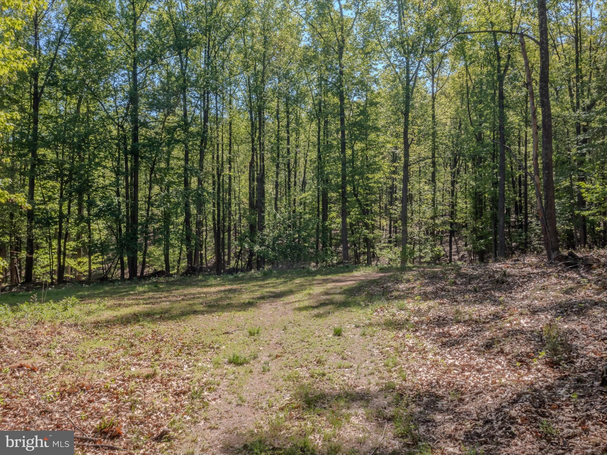Mauzy Road Berkeley Springs, WV 25411 - Photo 4 of 43 Gallery Image 4
