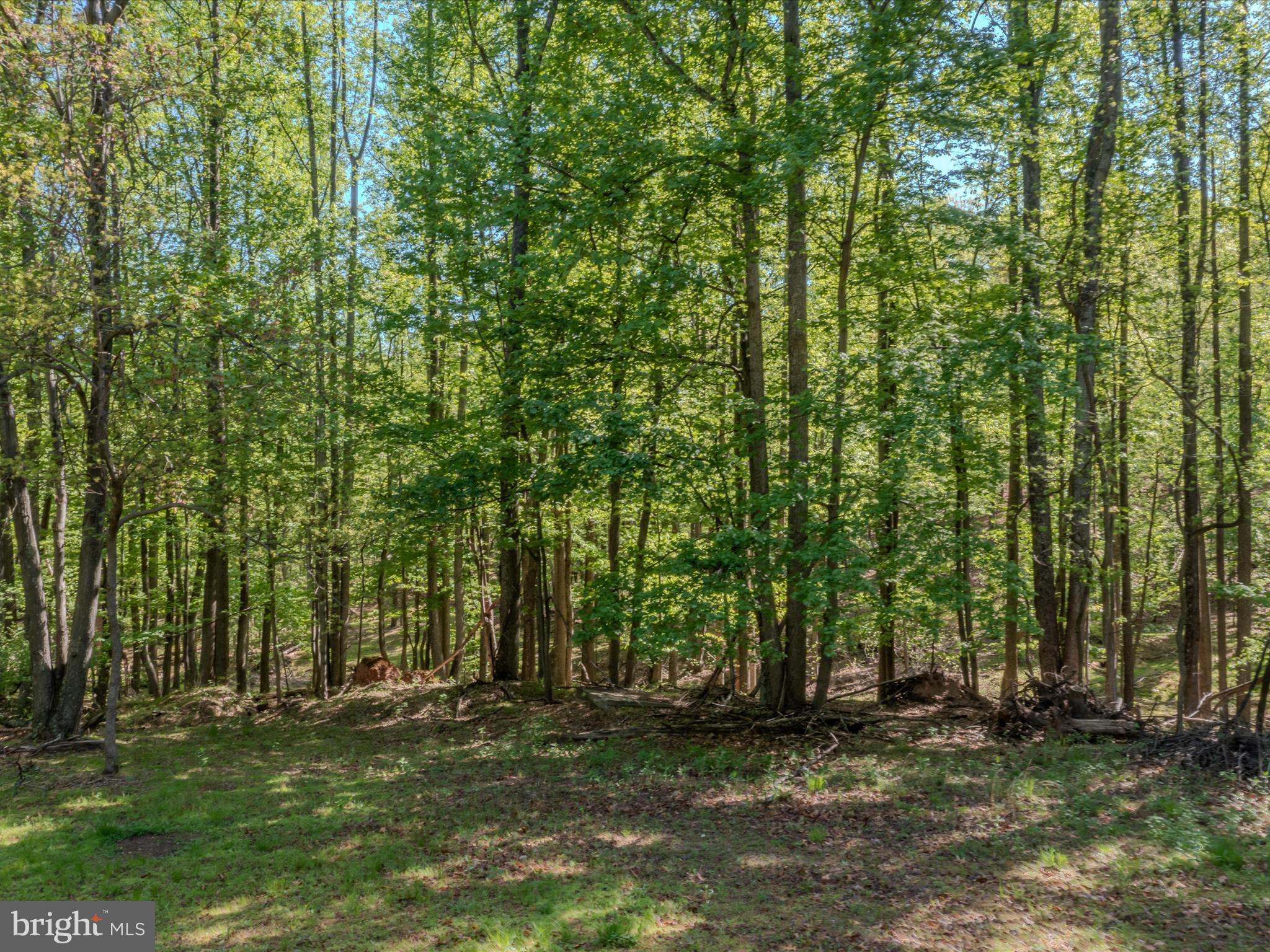 Mauzy Road Berkeley Springs, WV 25411 - Photo 5 of 43 Gallery Image 5