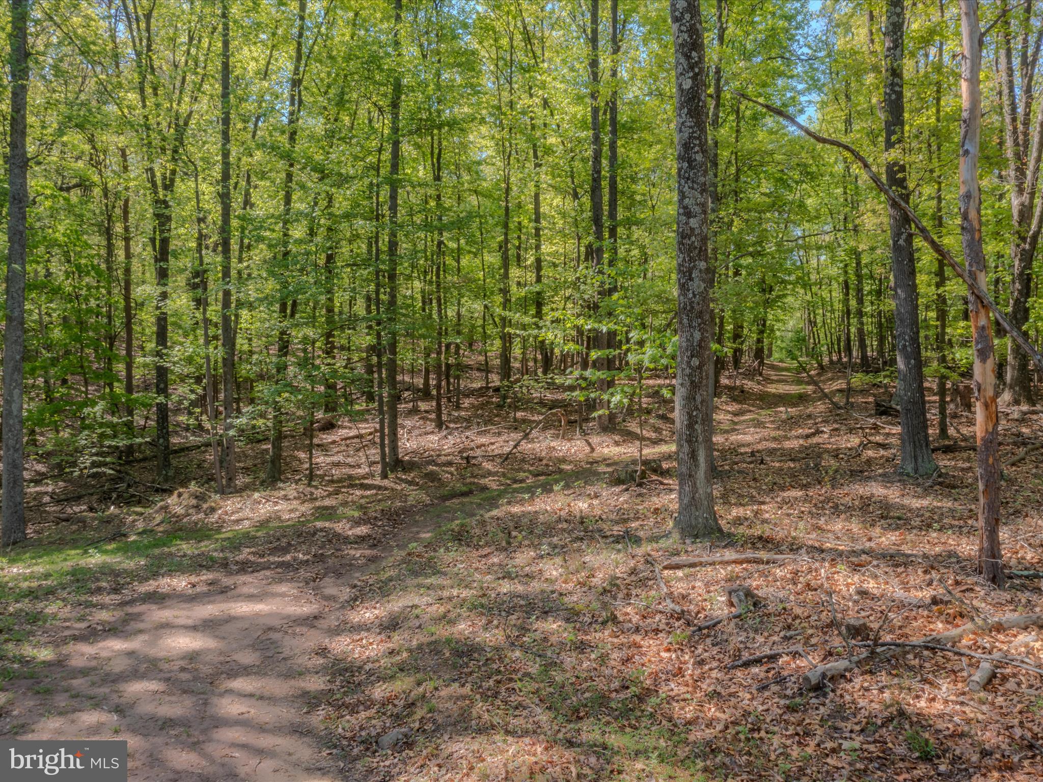 Mauzy Road Berkeley Springs, WV 25411 - Photo 8 of 43 Gallery Image 8