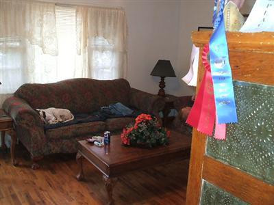 1807 Willisburg Road Lawrenceburg, KY 40342 - Photo 3 of 16 Photo 3