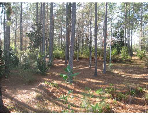 8271 Dummy Line Road Picayune, MS 39466 - Photo 14 of 16 Additional Photo
