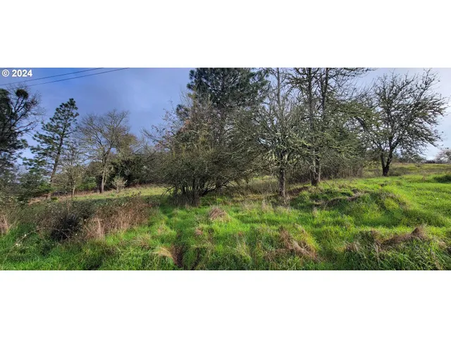 a view of a lake in middle of forest