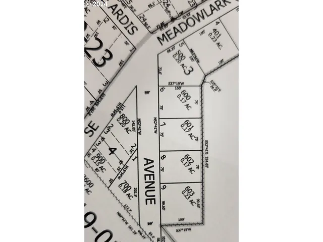 a view of a bird bath room