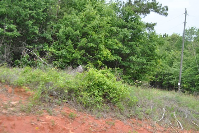 590 RG Starley Road McIntyre, GA 31054 - Photo 1 of 22 Primary Photo