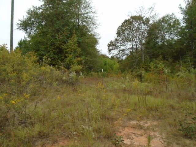 590 RG Starley Road McIntyre, GA 31054 - Photo 2 of 22 Additional Photo