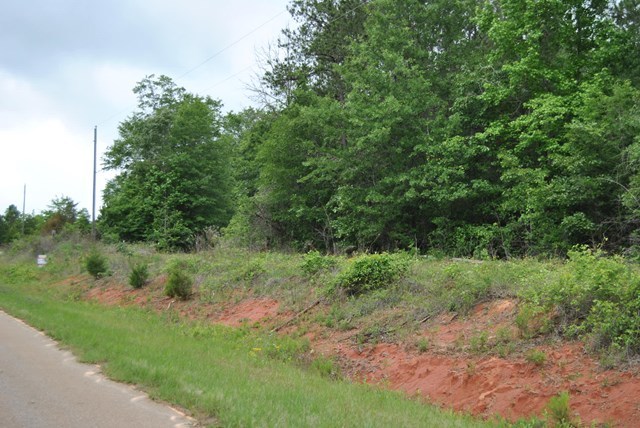 590 RG Starley Road McIntyre, GA 31054 - Photo 12 of 22 Additional Photo