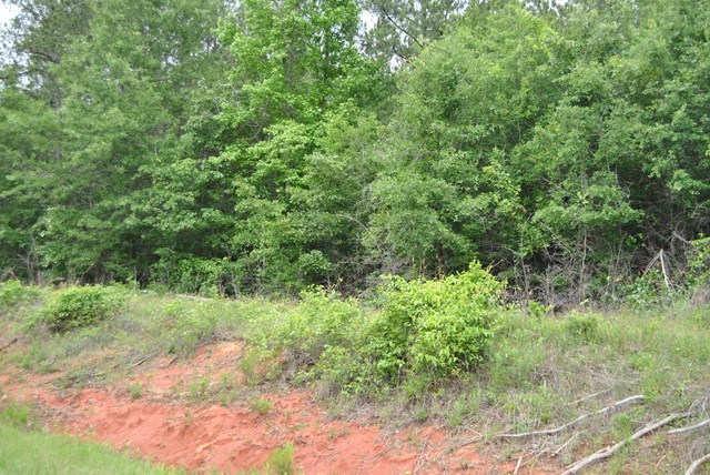 590 RG Starley Road McIntyre, GA 31054 - Photo 13 of 22 Additional Photo