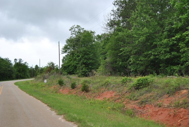 590 RG Starley Road McIntyre, GA 31054 - Photo 14 of 22 Additional Photo