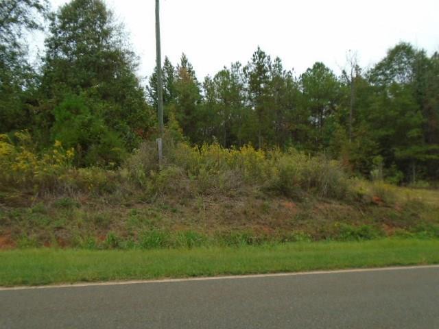 590 RG Starley Road McIntyre, GA 31054 - Photo 15 of 22 Additional Photo