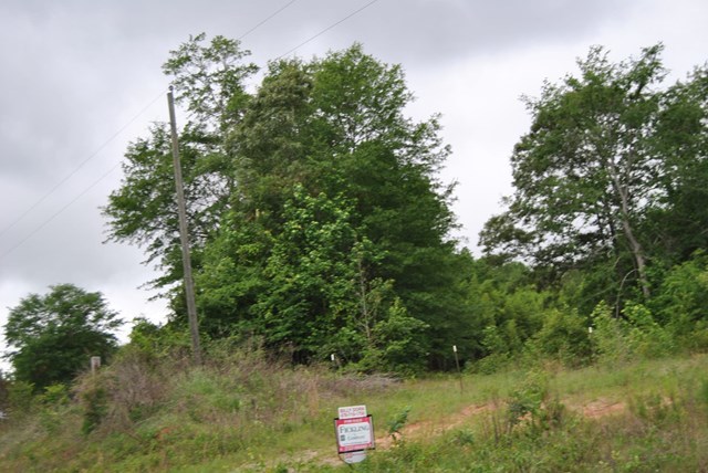 590 RG Starley Road McIntyre, GA 31054 - Photo 16 of 22 Additional Photo