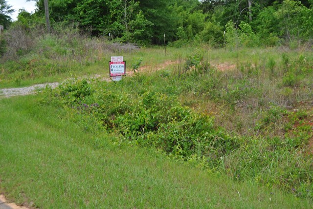 590 RG Starley Road McIntyre, GA 31054 - Photo 17 of 22 Additional Photo
