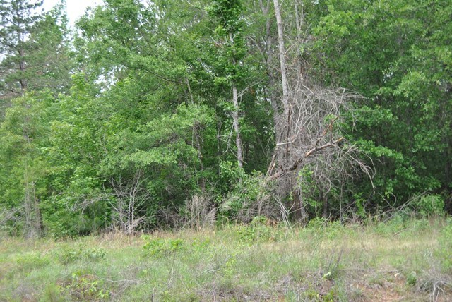 590 RG Starley Road McIntyre, GA 31054 - Photo 18 of 22 Additional Photo
