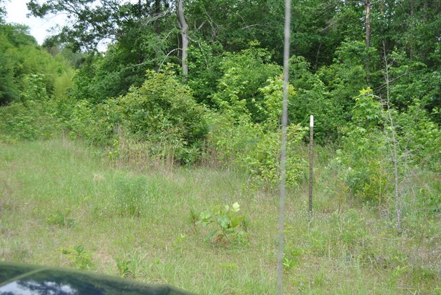 590 RG Starley Road McIntyre, GA 31054 - Photo 20 of 22 Additional Photo