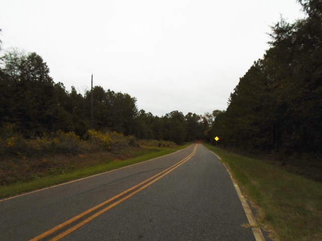 590 RG Starley Road McIntyre, GA 31054 - Photo 3 of 22 Additional Photo
