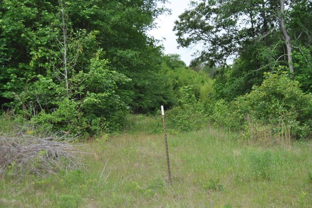 590 RG Starley Road McIntyre, GA 31054 - Photo 21 of 22 Additional Photo