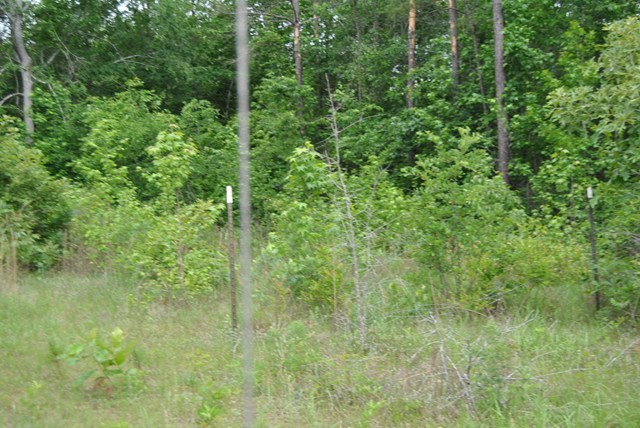 590 RG Starley Road McIntyre, GA 31054 - Photo 22 of 22 Additional Photo