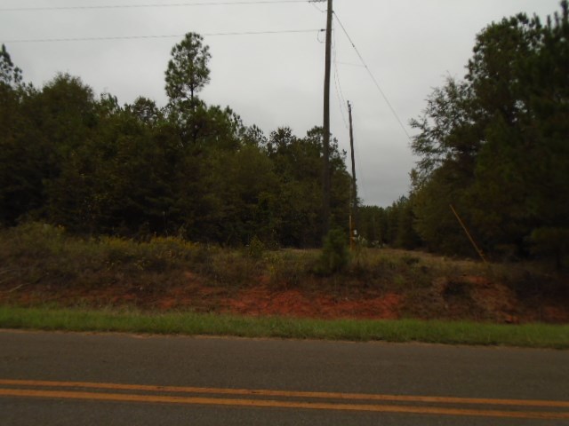 590 RG Starley Road McIntyre, GA 31054 - Photo 4 of 22 Additional Photo