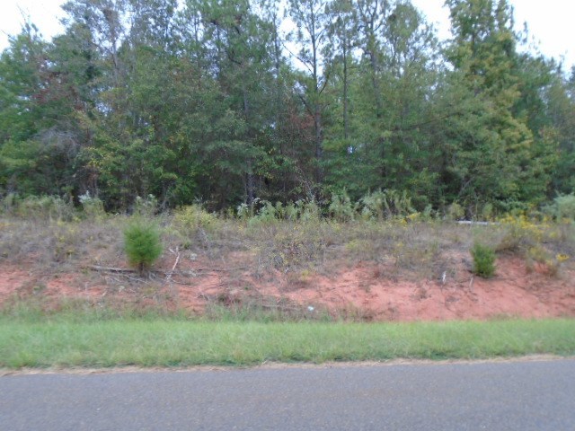 590 RG Starley Road McIntyre, GA 31054 - Photo 6 of 22 Additional Photo