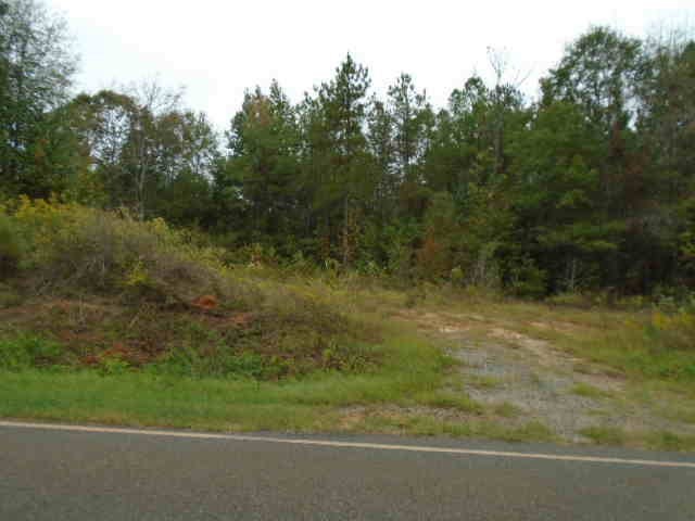 590 RG Starley Road McIntyre, GA 31054 - Photo 7 of 22 Additional Photo
