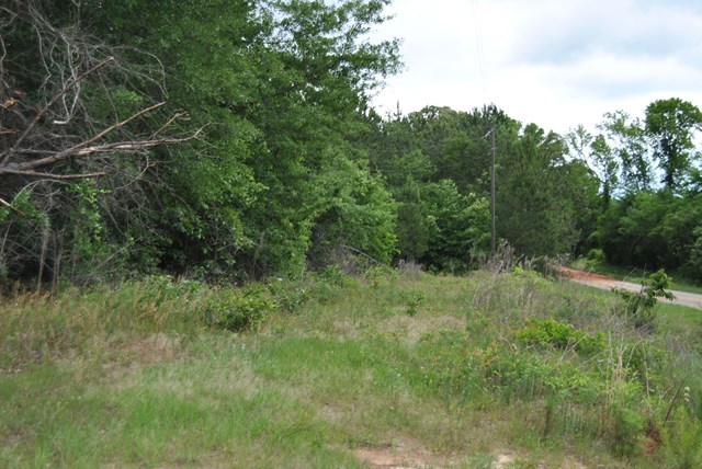 590 RG Starley Road McIntyre, GA 31054 - Photo 8 of 22 Additional Photo