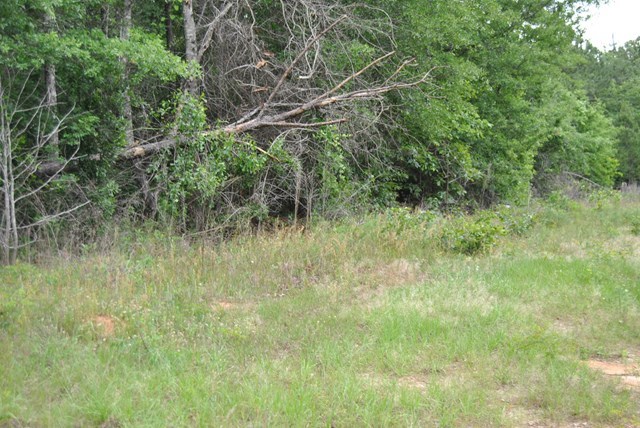 590 RG Starley Road McIntyre, GA 31054 - Photo 9 of 22 Additional Photo