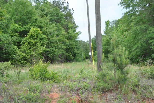 590 RG Starley Road McIntyre, GA 31054 - Photo 10 of 22 Additional Photo