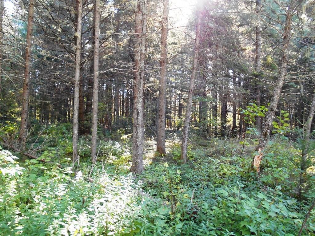 Map R-5-lo Map R-5-lo Tim Pond Road Eustis, ME 04936 - Photo 5 of 14 Photo