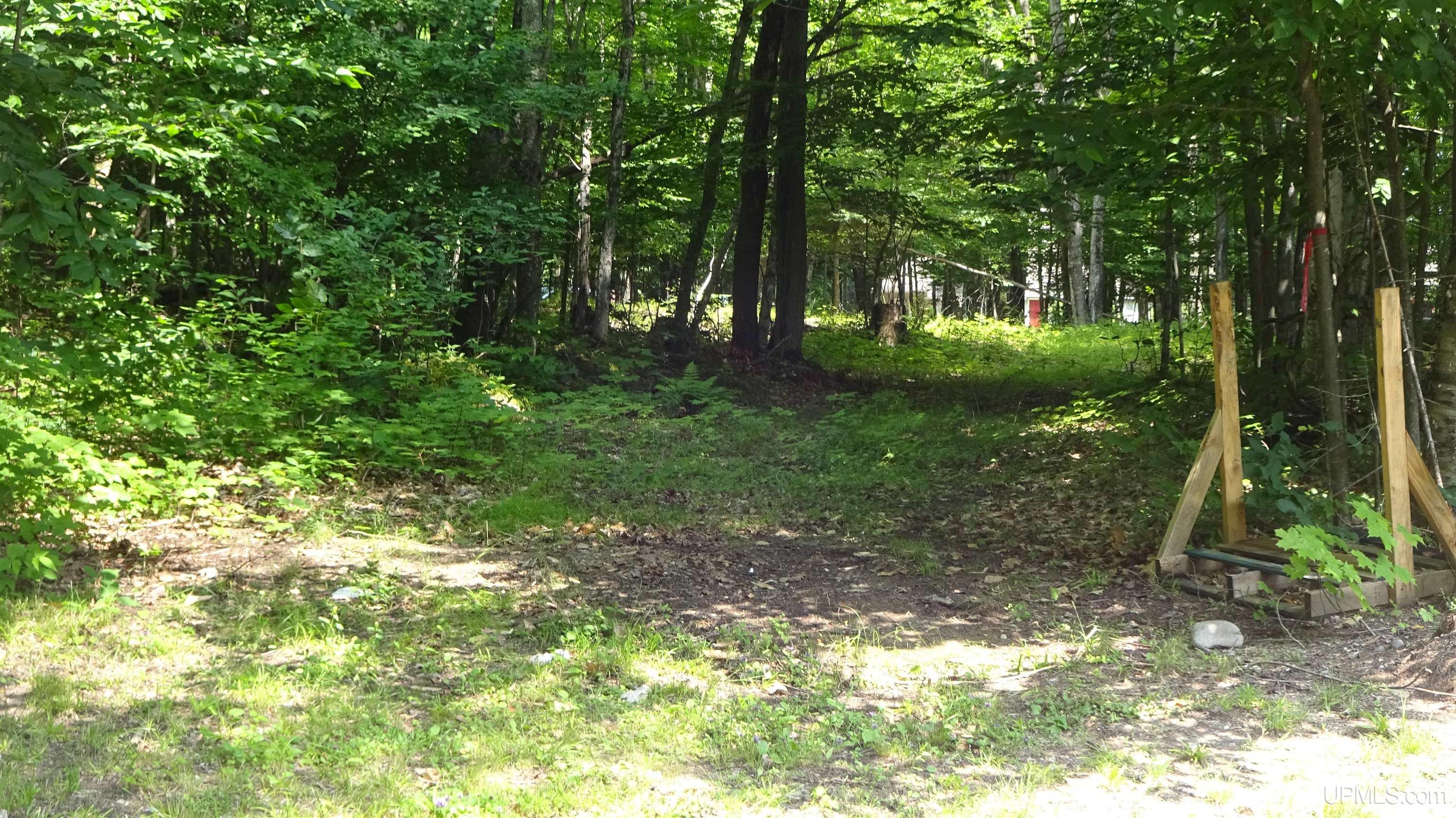 Tbd Autrain Forest Lake Road Au Train, MI 49806 - Photo 4 of 8