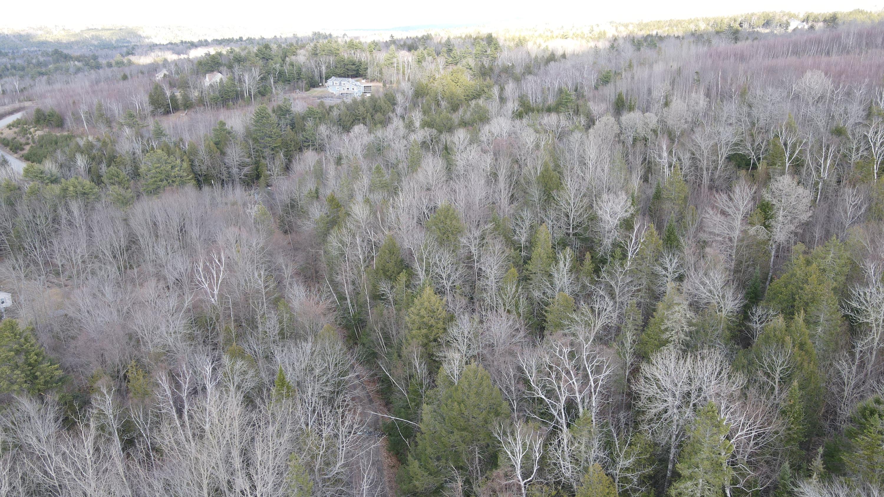 133 Rider Bluff Road Holden, ME 04429 - Photo 22 of 24 DJI_0266