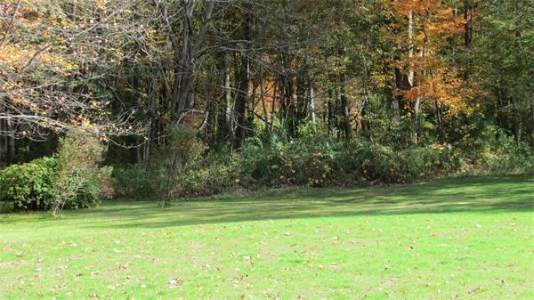 310 Maple Street Bellingham, MA 02019 - Photo 25 of 26 Gallery Image 25