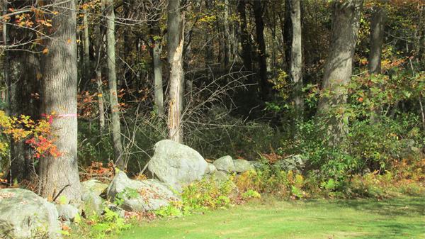 310 Maple Street Bellingham, MA 02019 - Photo 26 of 26 Gallery Image 26