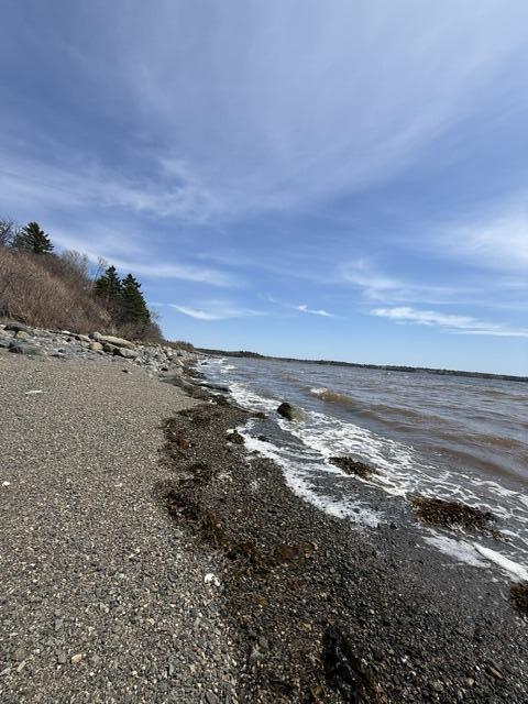 Lot 5 Holmes Bay Farms Road Whiting, ME 04691 - Photo 22 of 23 IMG_9088 (1)